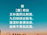 上海邦睿广告有限公司