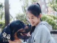 上海邦睿广告有限公司
